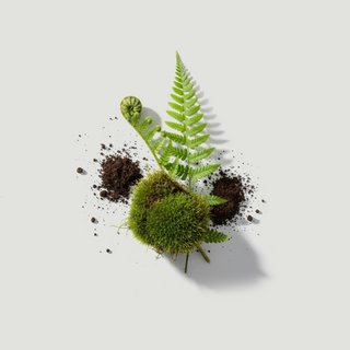 Earthy