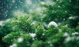 Farmhouse Christmas