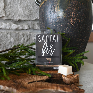 Santal Fir wax melt packaging with greenery and a decorative vase in the background