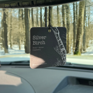 A car air freshener tag labeled 'Silver Birch' hanging inside a car windshield. The tag is dark gray with white text and a birch tree illustration, with a snowy forest visible through the window background.