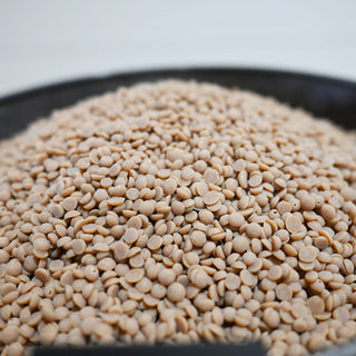 Close-up of light brown wax beads in a metal container