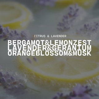 Text overlay on a sliced lemon with lavender background with product name of Citrus & Lavender and description of bergamot & lemon zest, lavender & geranium and orange blossom & musk