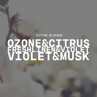 Text overlay on a blurred cotton blossom background with product name of Cotton Blossom and description of ozone & citrus, fresh linen & violet and violet & musk