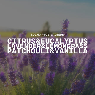 Text overlay on a lavender flower background with product name of Eucalyptus & Lavender and description of citrus & eucalyptus, lavender & lemongrass and patchouli & vanilla