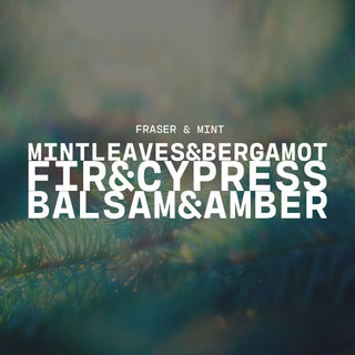 'Fraser & Mint' text overlay on a blurred natural background with tree branches and scent notes of mint leaves & bergamot, fir & cypress and balsam & amber