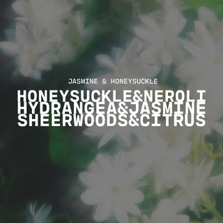 Text overlay on a blurred white flower background with product name of Jasmine & Honeysuckle and description of honeysuckle & neroli, hydrangea & jasmine and sheer wood & citrus