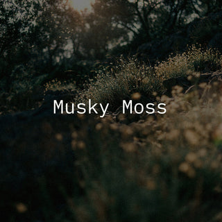 Wooded area with moss and greens growing in the background with 'Musky Moss' in white text overlay