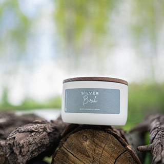 10 oz candle labeled 'Silver Birch' on a log with a blurred natural background