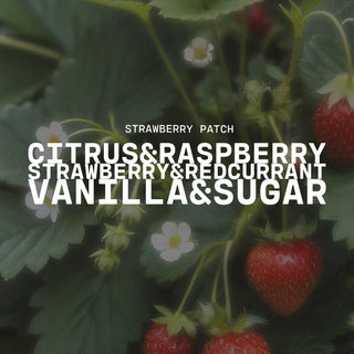 Strawberry plant background with text overlay of 'Strawberry Patch' and scent notes of citrus & raspberry, strawberry & redcurrant and vanilla & sugar
