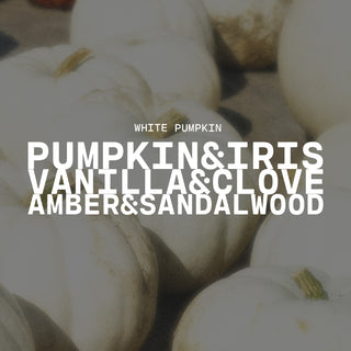 White pumpkins blurred in the background with text overlay of 'White Pumpkin' and scent notes of pumpkin & iris, vanilla & clove and amber & sandalwood